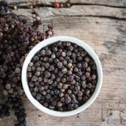 Ziarna czarnego pieprzu w miseczce i na gałązkach, gotowe do produkcji aromatycznego olejku z czarnego pieprzu.