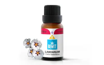 Butelka olejku labdanum obok kwiatów czystka. Zapach labdanum jest balsamiczny, drzewny, lekko dymny i słodki.