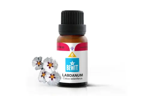 Butelka olejku labdanum obok kwiatów czystka. Zapach labdanum jest balsamiczny, drzewny, lekko dymny i słodki.