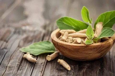 Korzeń ashwagandhy w drewnianej miseczce, z liśćmi. Naturalne wsparcie dla osób z hashimoto.