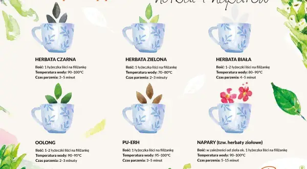 Ilustracja pokazuje sposoby parzenia różnych herbat. Zielona herbata, znana ze swoich właściwości, wymaga 1 łyżeczki liści i temperatury wody 70-80°C.