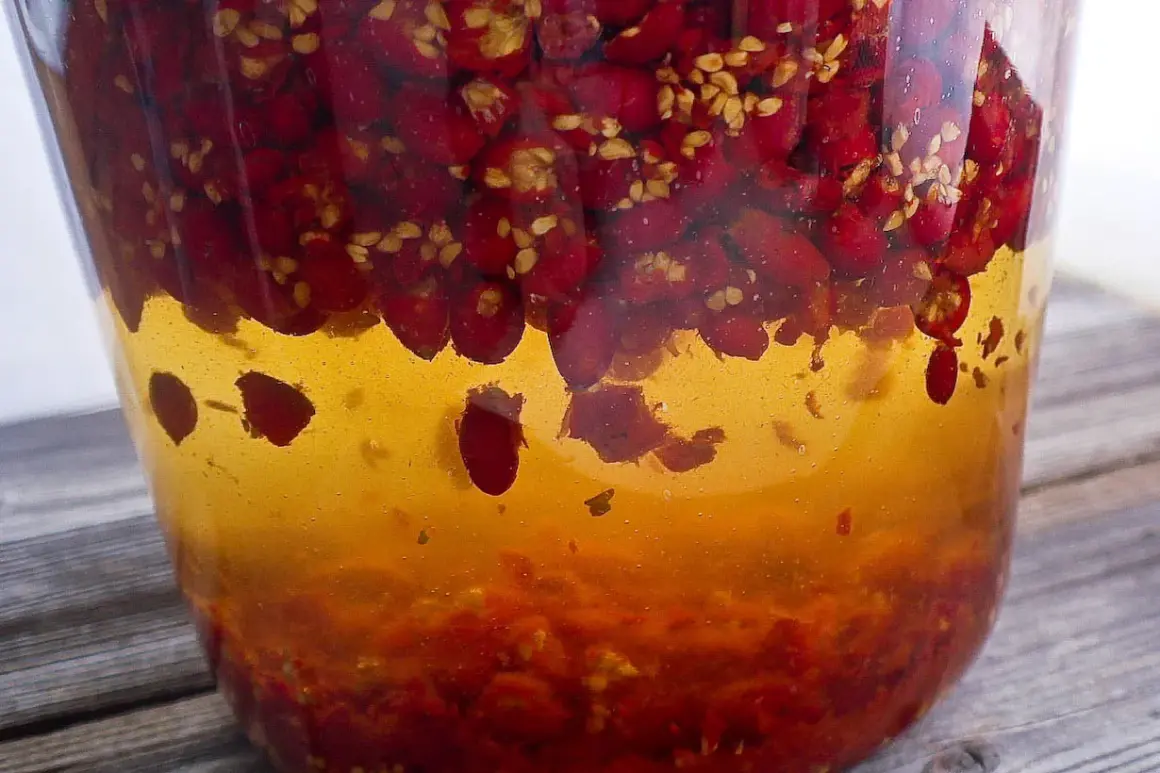 Wino z dzikiej róży przepis: czerwone owoce w bursztynowym płynie, gotowe do fermentacji.