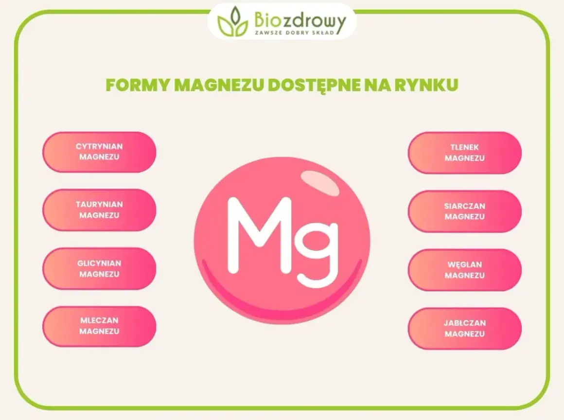 Cytrynian magnezu na co pomaga? Grafika przedstawia różne formy magnezu dostępne na rynku, w tym cytrynian magnezu.