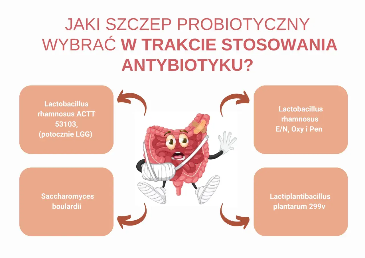 Naturalny probiotyk przy antybiotyku - co wybrać i kiedy?