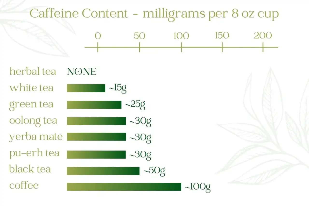Wykres porównuje zawartość kofeiny w napojach. Herbata ziołowa nie zawiera alkaloidu, biała ma ok. 15g, zielona ok. 25g, oolong, yerba mate i pu-erh ok. 30g, czarna ok. 50g, a kawa ok. 100g.