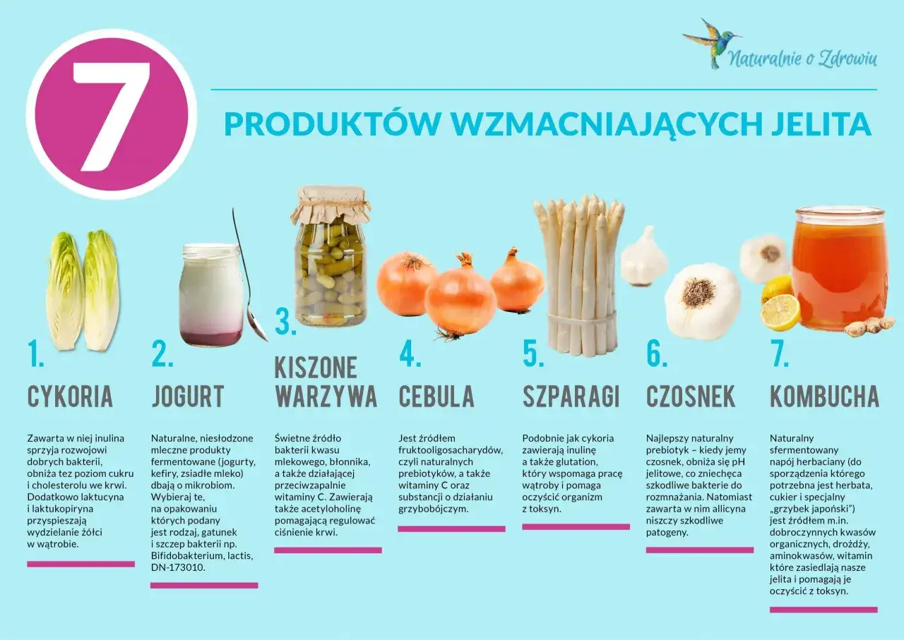 Produkty wzmacniające jelita: cykoria, jogurt, kiszone warzywa, cebula, szparagi, czosnek, kombucha. Jak zregenerować jelita? Naturalne sposoby.