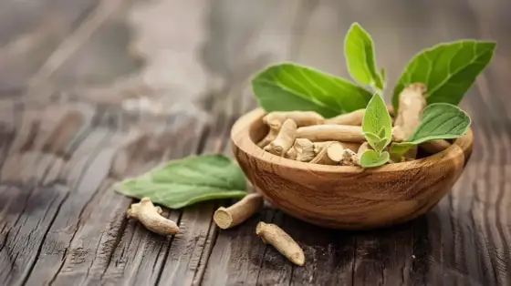 Ashwagandha a Hashimoto - czy można ją bezpiecznie stosować?