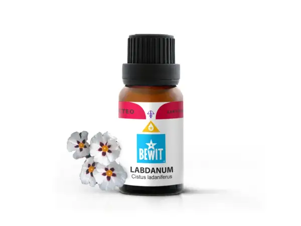 Butelka olejku labdanum obok kwiatów czystka. Zapach labdanum jest balsamiczny, drzewny, lekko dymny i słodki.