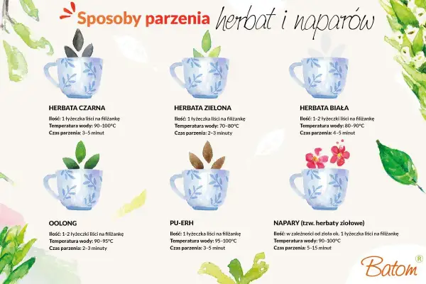 Ilustracja pokazuje sposoby parzenia różnych herbat. Zielona herbata, znana ze swoich właściwości, wymaga 1 łyżeczki liści i temperatury wody 70-80°C.